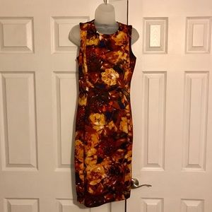 Multiple colored sheath dress